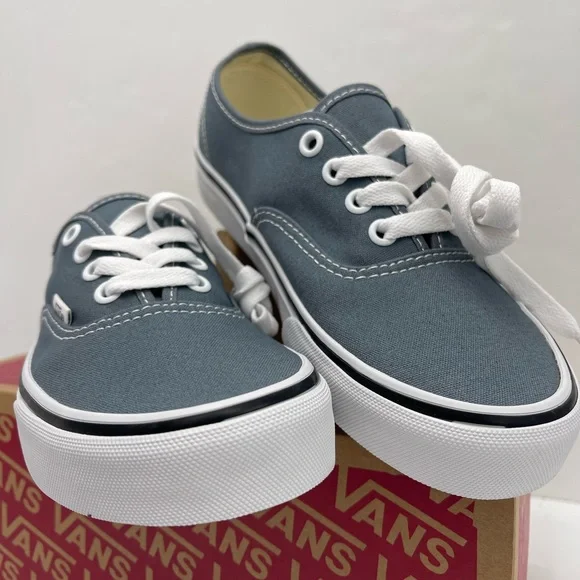 Vans Men’s Authentic Color Theory Stormy WeatherVN000EGARV2 Sneakers